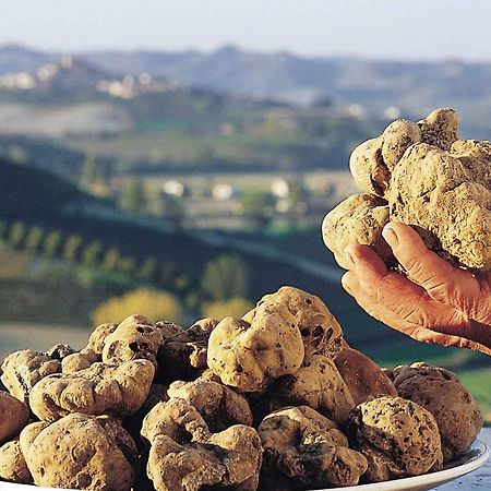 B&B Esclusivo, Nel Cuore Del Monferrato Asti Buitenkant foto