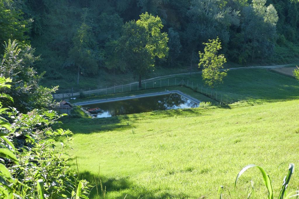 B&B Esclusivo, Nel Cuore Del Monferrato Asti Buitenkant foto