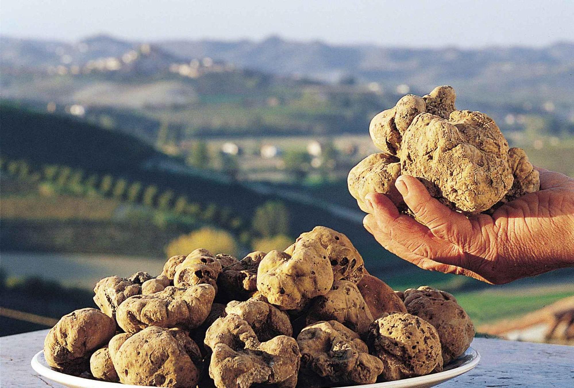 B&B Esclusivo, Nel Cuore Del Monferrato Asti Buitenkant foto
